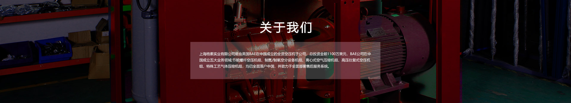 關于格素